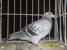 SAM_0792