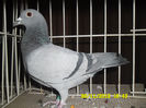 SAM_0794