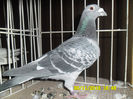 SAM_0802