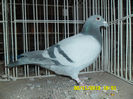 SAM_0805