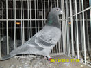 SAM_0807