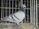 SAM_0809