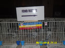 SAM_0816