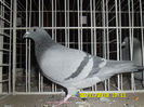 SAM_0817
