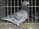 SAM_0820