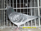 SAM_0823