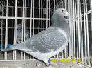 SAM_0826