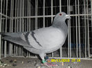 SAM_0828