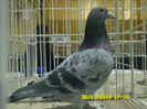 SAM_0831