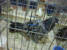 DSC08805