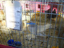 DSC08960