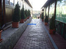 DSC09004