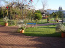 DSC09006