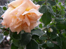 P1018705