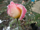 P1018706