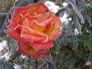 P1018707