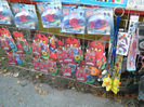 DSCN4866