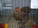 SDC12689