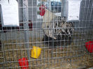 SDC12690