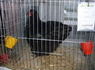 SDC12692