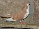 PC010411