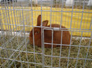 DSC09156