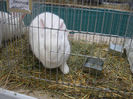 DSC09180