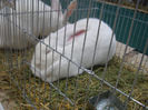 DSC09181