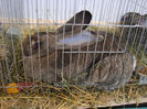 DSC09187