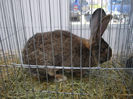 DSC09190