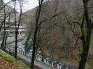 DSCN8787