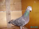 PICT0841