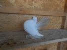 Picture 1425