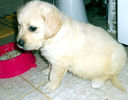 Picture 059