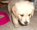 Picture 064