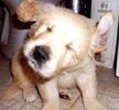 Picture 070