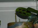 DSCN9827