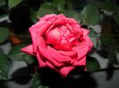 DSCN9837