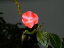DSCN9841