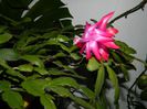 DSCN9857
