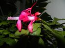 DSCN9861