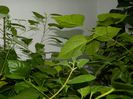 DSCN9864