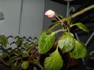 DSCN9890