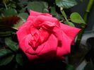 DSCN9892