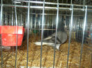 DSCF9768