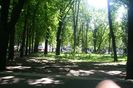 Изображение 170