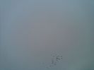 08122013(021)