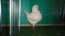 DSC03550