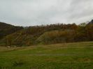 DSCN8940