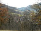 DSCN8951